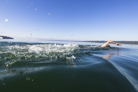 Man swimming in lake Starnberg, the Alps with mount Zugspitze in early morning fog, Berg, Upper Bavaria, Germany