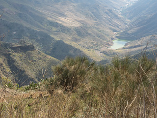 die Kanareninsel Teneriffa