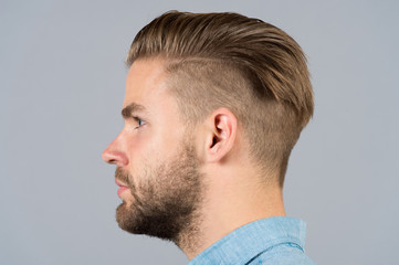 Man with beard on unshaven face profile