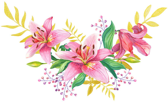 Pink lilies.Floral Illustration