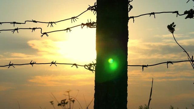 Detail of a prison or military fence of barbed wire at sunset close-up. The border zone, the danger zone, the security zone, the fence of the military unit and the prison against the sunset.