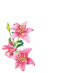 Pink lilies.Floral Watercolor flowers wreath