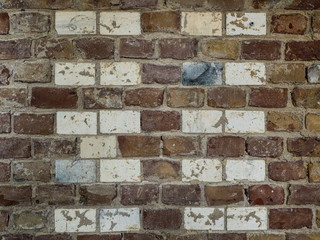 brick wall with pattern of white bricks