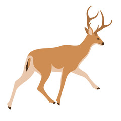 deer vector illustration profile side flat