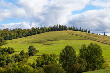 trees mountains beautiful nature nature tourism