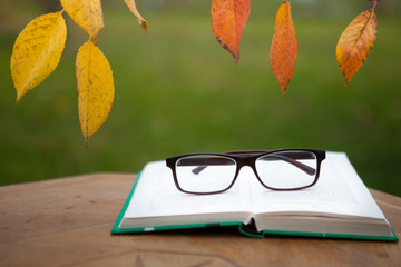 An open book and glasses on a table in the autumn garden. Yellow leaves.