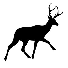 deer vector illustration black silhouette profile