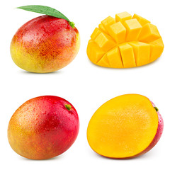 mango fruit isolated