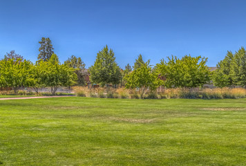 Neighborhood park landscape.