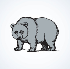 Obraz premium Panda. Vector drawing