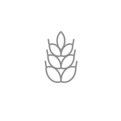 Fototapeta premium Thin wheat thin icon. Outline agriculture and bakery vector symbol isolated on white background.