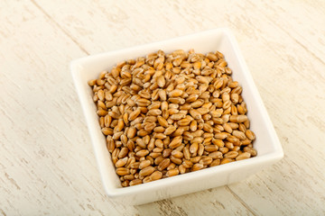 Wheat grains