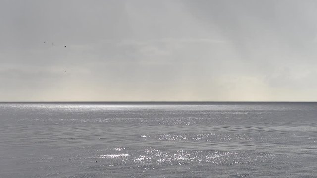 volo di gabbiani sul mare dopo la tempesta