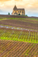 Fototapeta na wymiar Vineyards And Chavot Courcourt Church In Champagne Area, Epernay