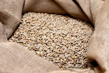 Green not roasted, coffee beans in a bag made of burlap