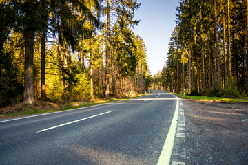 highway into Silent Forest in spring with beautiful bright sun rays