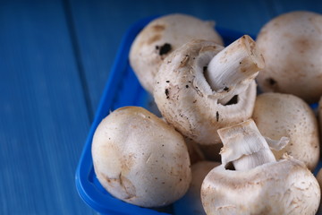 Mushrooms champignons