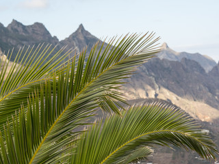 Die Insel Teneriffa