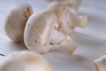 Mushrooms champignons on a white wooden background