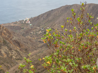 Die Insel Teneriffa