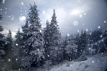 Trees covered with hoarfrost and snow in winter mountains - Christmas snowy backgroundic holiday background