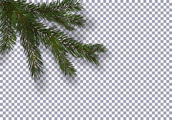 Christmas, New Year. Realistic green tree branch and its shadow. Against the background of the checkered. illustration