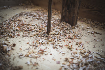 Brown natural husk peanut peel on the floor