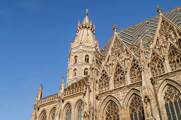 Fototapeta premium Roof of St. Stephen's Cathedral in Vienna, Austria