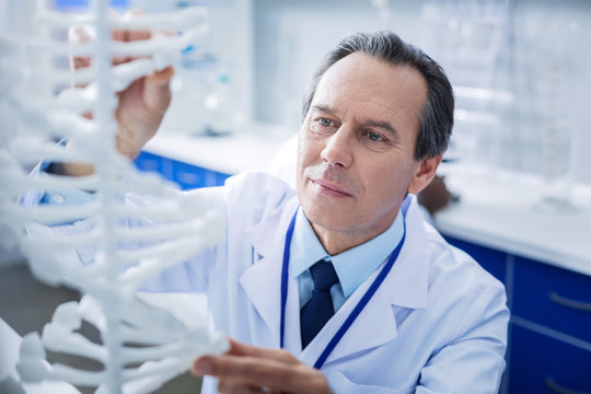 Genetic laboratory. Serious intelligent handsome man standing in front of the gene model and looking it while working in the laboratory