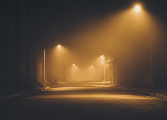 Night street in the fog.  Los Angeles. California. America. Novem 2017
