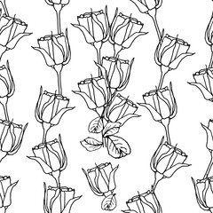 Seamless pattern with liner black roses on white.  illustration