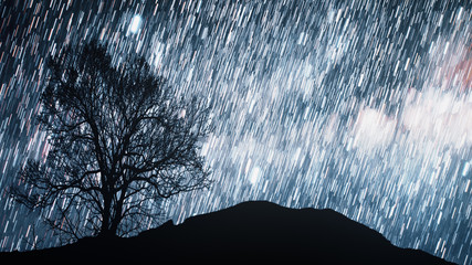 A time lapse of a starry night with a shadow of a tree in foreground and with a star trail effect....