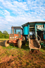 Tractor and milking parlor on pasture