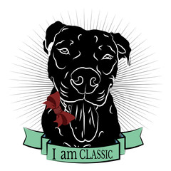 Figure for T-shirt with mastiff