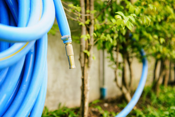 Rubber tube and faucet on green grass