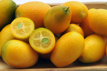 Citrus japonica キンカン Cumquat Kumkwat Kumquat קומקוואט Cumquats Kumkvatit კინკანი Limequat برتقال ياباني Kumquats 금귤 Fruit Fortunella 金柑 Кумкват 