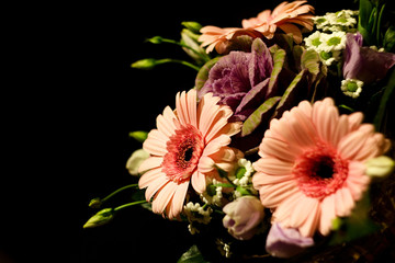 Colorful flower puget, gerbera pink, blue roses, dahlia on a dark background.