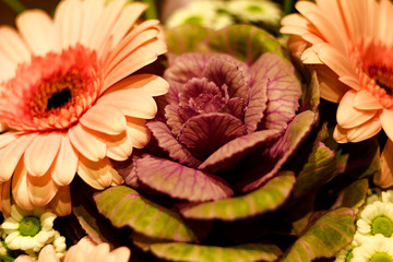 Colorful flower puget, gerbera pink, blue roses, dahlia on a dark background.
