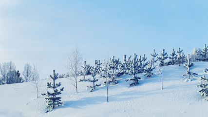 Snowy forest at winter Rovaniemi