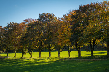 Naklejka premium Nachrodt-Wiblingwerde im Herbst