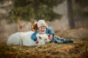 Boy with white Samoyed dog