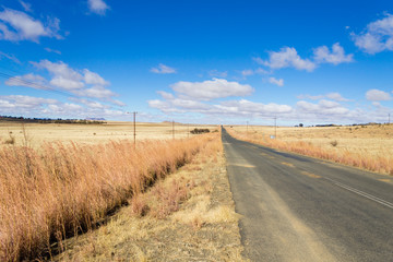 Perspective road from Orange Free State, South Africa