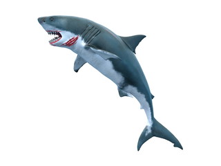 サメ