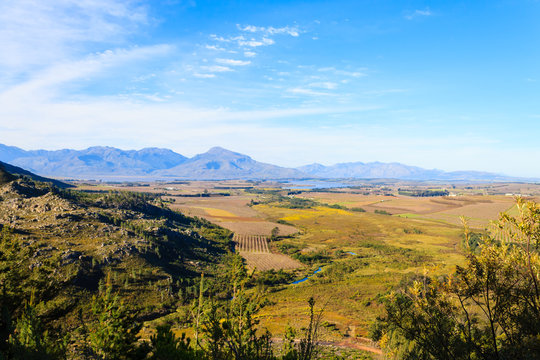 Franschhoek vineyard landscape, South africa panorama