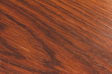 Abstract Macro Wood Texture Design Decoration Pattern Background Usage Vintage Look