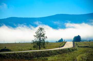 Morning fog