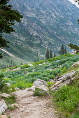 Hiking Through Cascade Canyon