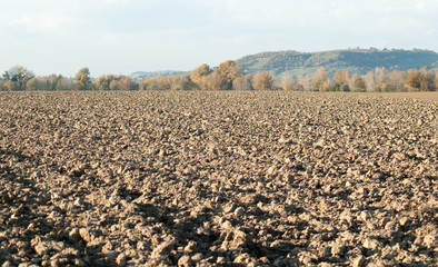 Campo coltivato 3