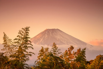 富士山の夕景と竹林