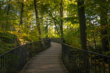 Obraz premium Felsenmeer in Hemer im Herbst